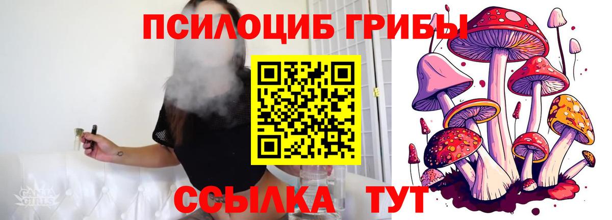Псилоцибиновые грибы Magic Shrooms Альметьевск