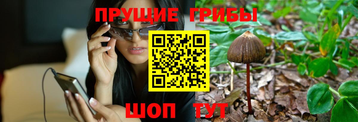 Галлюциногенные грибы мухоморы  Вход с VPN  Альметьевск 